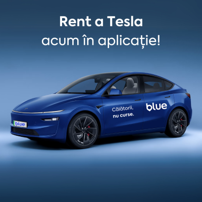 Rent a Tesla – Termeni și condiții